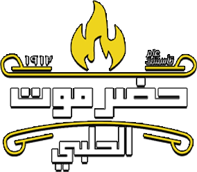 شريك نجاح 3